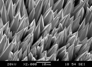 Microstructure of high-emittance black rhenium coating showing pyramidal dendrites formed by Chemical Vapor Deposition (CVD)