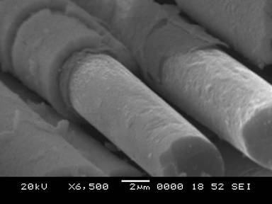 SEM image showing zirconium oxide/hafnium oxide/zirconium nitride multilayered interface coatings on carbon fibers