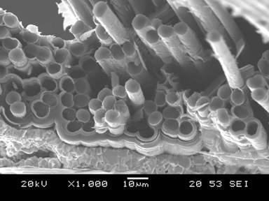 SEM image showing fiber pullout in ceramic matrix composite with zirconium oxide interface coating