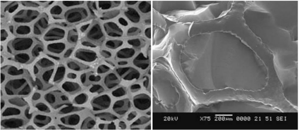 Carbon Foam Skeletal Structure