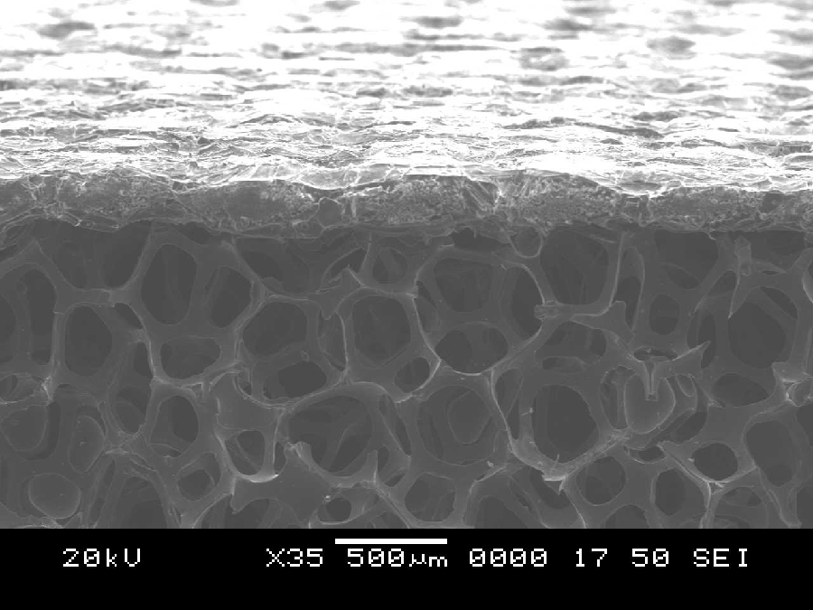 C/C on RVC Foam